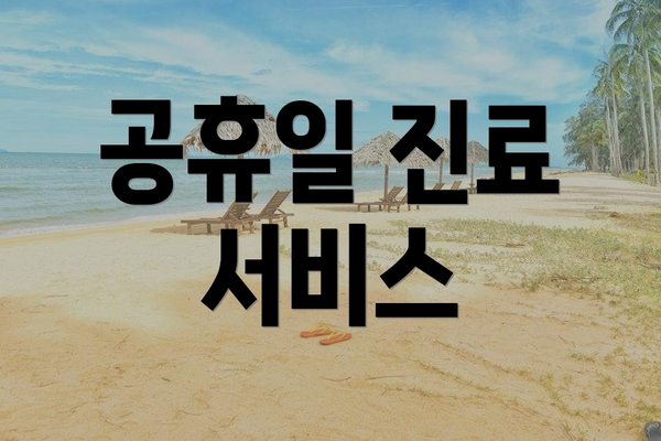 공휴일 진료 서비스