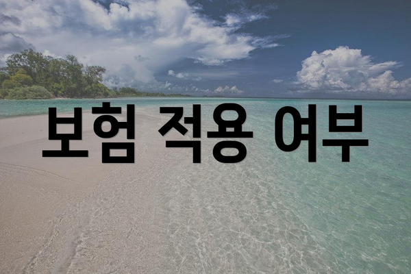 보험 적용 여부