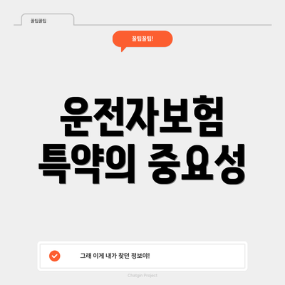 운전자보험 특약의 중요성