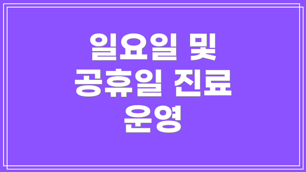 일요일 및 공휴일 진료 운영