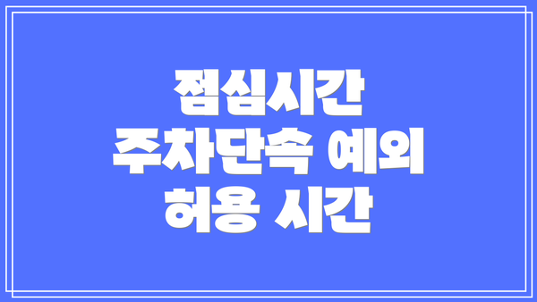점심시간 주차단속 예외 허용 시간