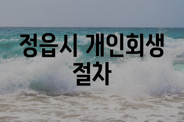 정읍시 개인회생 절차