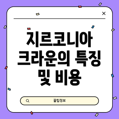 지르코니아 크라운의 특징 및 비용
