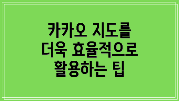 카카오 지도를 더욱 효율적으로 활용하는 팁