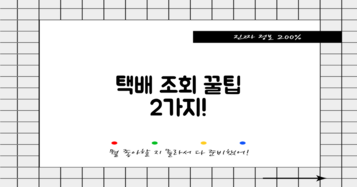 택배 2가지 조회 팁